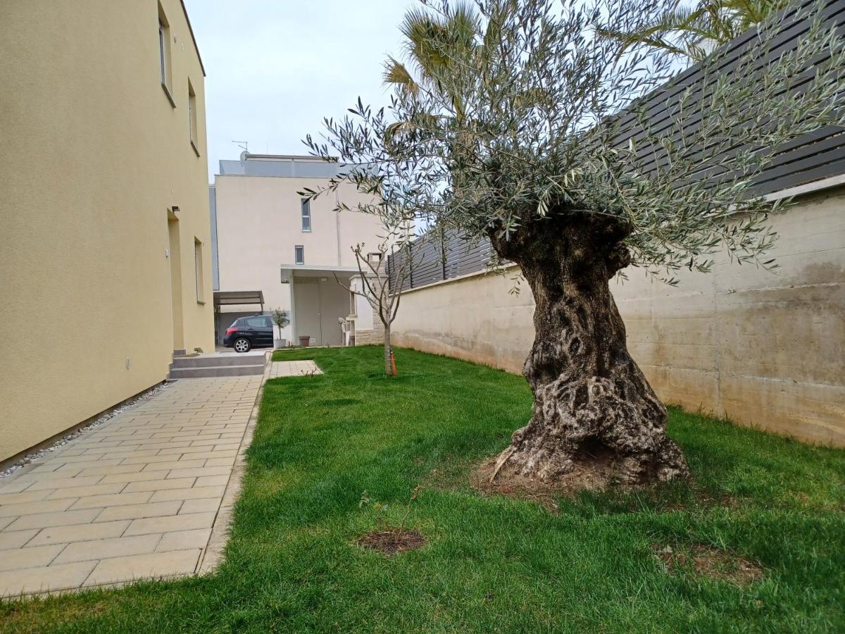 Apartments Leon 1 Novigrad  ภายนอก รูปภาพ